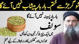 Rumi Quotes Urdu | Hikmat Ki Batain | Motivational Quotes About Life Urdu | Sunharay Haroof | Totkay