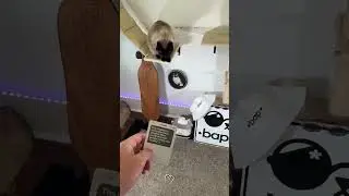 Новый телефон Кто это сделал?