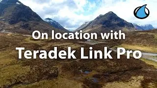На месте с Teradek Link Pro
