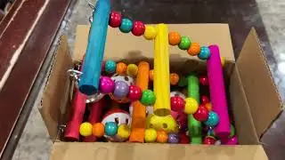 Parakeet Cage Toy Review for Small Birds