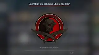 (CS:GO) Getting the Operation Bloodhound coin in 2019