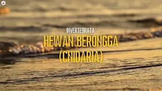 Mengenal Invertebrata: Cnidaria (Hewan Berongga & Sel Penyengat)
