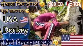USA 🇺🇸 Donkey | Mexico 🇲🇽 Entry|Guatemala 🇬🇹 To Mexico 🇲🇽 | दोबारा फिर जंगल 😢में आ गये