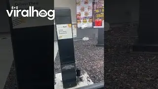 AI Drive-Thru Glitches During Order Taking || ViralHog