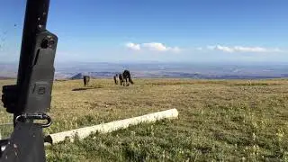 2016 07.16 45 Pryor Mountains w/Fishers...Wild Horses...