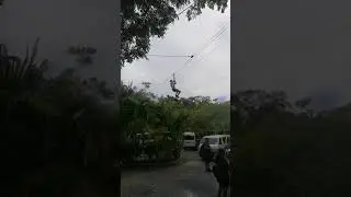 Mayan Jungle CANOPY Zip-line in Roatan