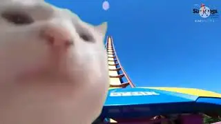 Vibing Cat Vibing to Nitro Station Music