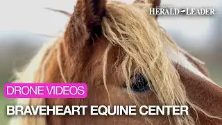 Drone video: 140-Acre Horse And Burro Sanctuary in Paris, Kentucky