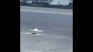Frozen river in Bayonne, New Jersey