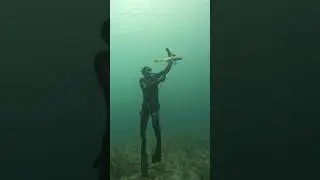 World's Luckiest Fish! #spearfishing #fishing