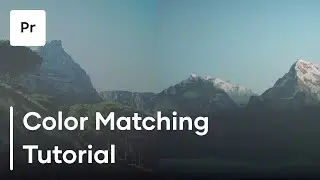 How To Use The Color Match Tool In Premiere Pro