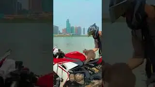 Cat showing bike riding with safety #catlover #bikelover