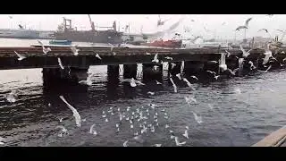 port Grand, Native Jetty - Karachi