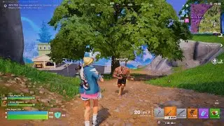 Fortnite Family Win