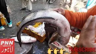morningshow MachliMandi LiveNews Lahore | Different fish in the world | three flower  FishMarket