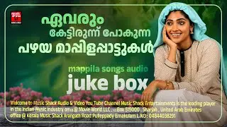 തകർപ്പൻ മാപ്പിളപ്പാട്ടുകൾ | Mappilappattukal | Old is gold mappila songs | Mappila audio juke box
