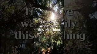 True love wants only this one thing. | god message quotes #shorts #motivation #spirituality