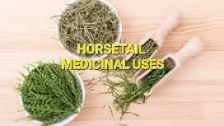 UTI KIDNEY STONES CANCER & HORSETAIL