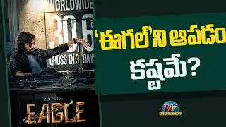 Ravi Teja's EAGLE Movie Worldwide Collections..! | Anupama Parameswaran | NTV ENT