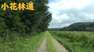 【小花林道】北海道中川郡豊頃町～広尾郡大樹町(2025.08.13)