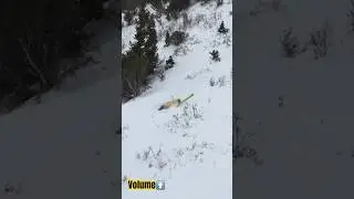 Face full of powder