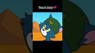 Tom and Jerry | Battle 💔
