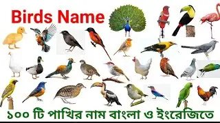 100টি পাখির নাম বাংলা ও ইংরেজিতে।100 Birds Name in Bengali and English with Pictures.