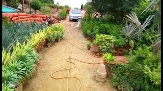 A wonderful scene of nursery farm in village || Punjab Village Life