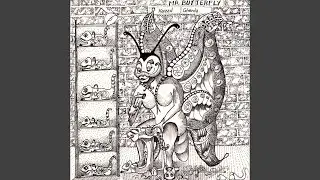 Mr. Butterfly