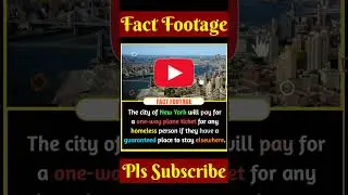 Top 2 Amazing Facts In English 🔥 | Fact in english | Factmato | #shorts