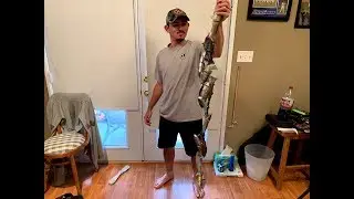 BIG SWIMBAIT ARSENAL 2019!!!!!