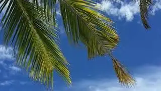 Nano Cabrera - Isla Para Dos