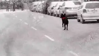 Negro Matapacos 🐕🙏