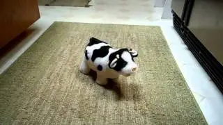 MOOING COW PLUSH TOY