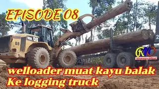 EPISODE 08‼️welloader muat kayu Log Ke logging truck #logging #logging kalimantan