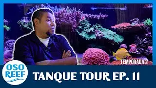 TANQUE TOUR EP. 11 / Eddy Guzmán
