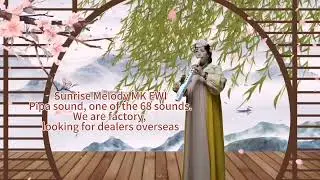 Pipa sound, one of the 68 sounds - Sunrise Melody MK Electronic wind instrument