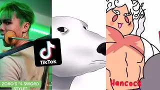 The Funniest One Piece meme Compilation 5 | TikTok Compilation ✨