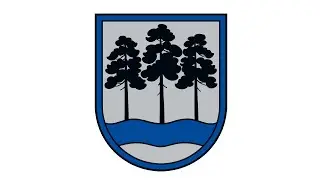 Ogres novada pa&scaron;valdības domes ārkārtas sēde (03.02.2026.)
