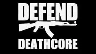 TOP 8 EXTREME BRUTAL DEATHCORE**2013**