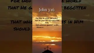 John 3:16 | Daily Bible Verse #biblestudy #christianshorts #verseoftheday