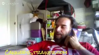 LVVV Questions APRU CBD Hemp Stock Tony Torgerud Hangout #live #HOA