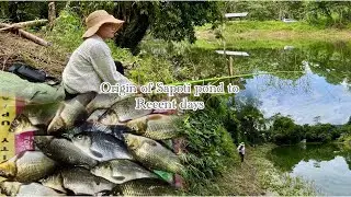 WHISPERS OF SAPOTI | POND | WHERE WATER REMEMBERS 