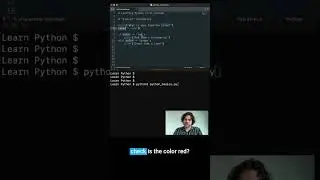 Else If Statements  #codeforbeginners  #python  #howtocode