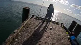 bait fishing @cornwallis wharf