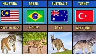 National Animal From Different Countries Data List