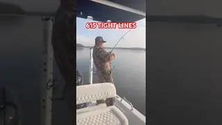 Percy Priest Lake - Hybrid Fishing - Trolling 615 A-Rig #percypriestlake #stripedbass