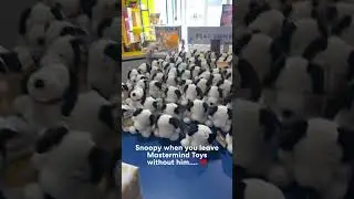 POV: Snoopy when you leave Mastermind Toys without him&hellip;. 💔