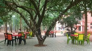Salboni Retreat // Jhargram ঝাড়গ্রামে নতুন রিসোর্ট