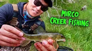 Micro Fishing a Small Saskatchewan Creek (Brook Trout Mission)